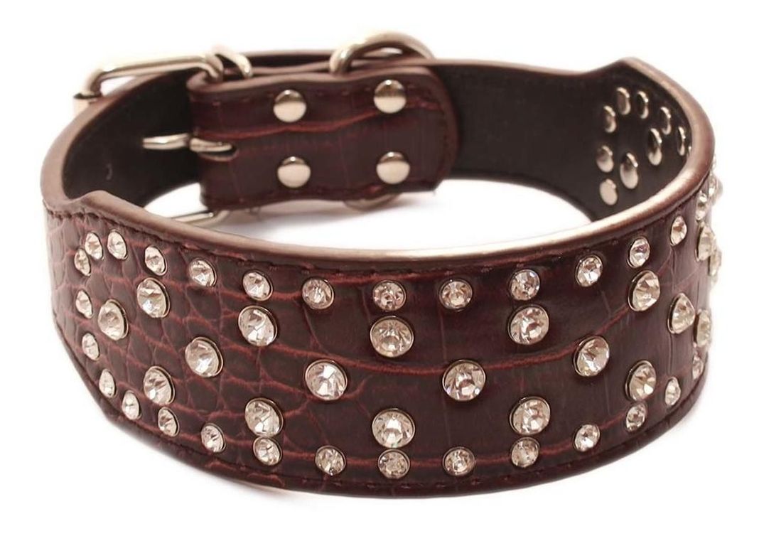 Collar Perro Con Diamantes Eco Cuero 2Xl Café Mascan-0