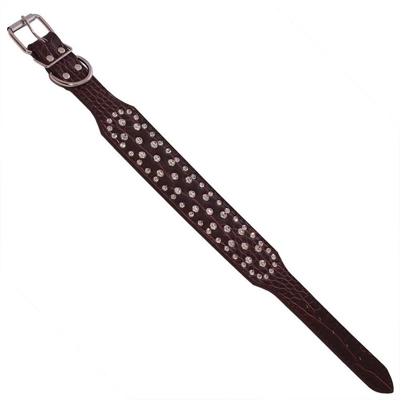 Collar Perro Con Diamantes Eco Cuero 2Xl Café Mascan-1