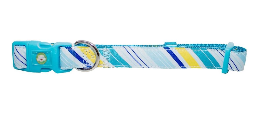 Collar Perro Diagonal M Celeste Mascan-0