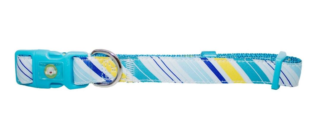 Collar Perro Diagonal Xs Celeste Mascan-0