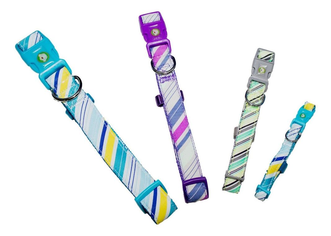 Collar Perro Diagonal Xs Celeste Mascan-2