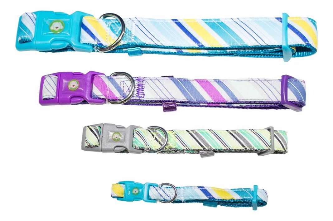 Collar Perro Diagonal Xs Celeste Mascan-3