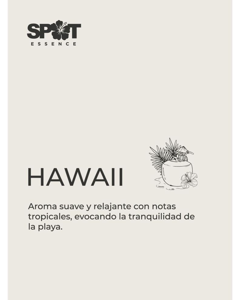 Home Spray LH 500ml Ambar Hawaii Spot Essence-1