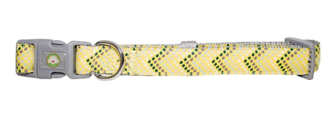 Collar Perro Puntitos Xs Amarillo Mascan-0