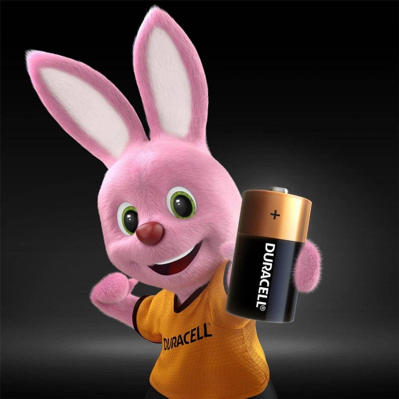 Pack 2 Pilas Duracell C Alcalina-3
