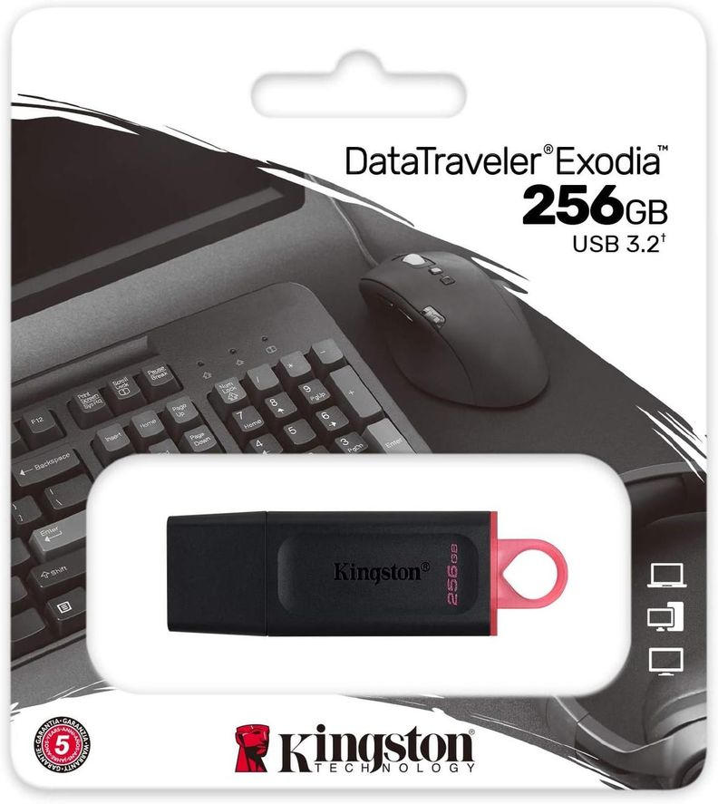 Kingston DataTraveler Exodia 256GB-1