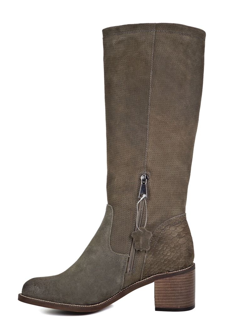 Bota Apelas Khaki-5