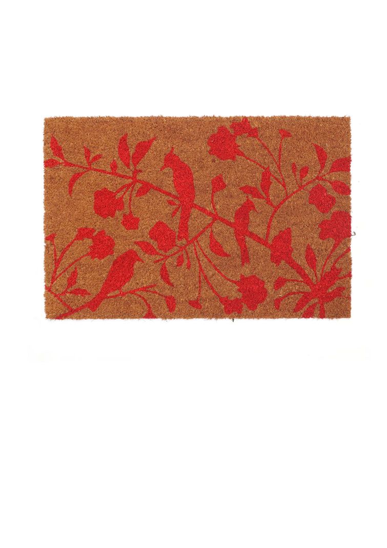 Limpapies Fibra De Coco 45x75 Marca Idetex. Birds -1