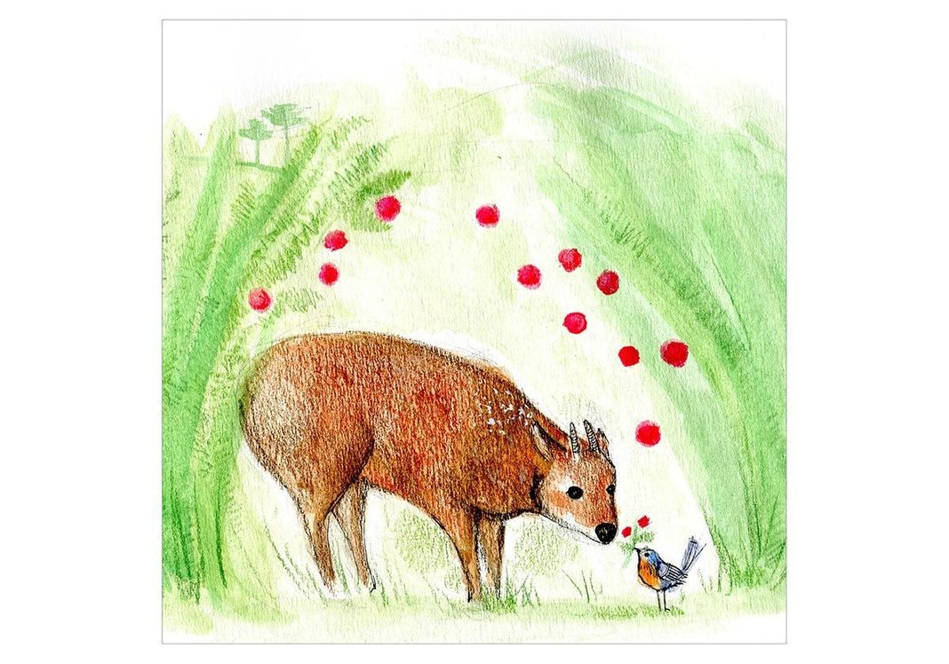 LIBRO INFANTIL RECREALIBROS ENCUENTROS CERCANOS-2