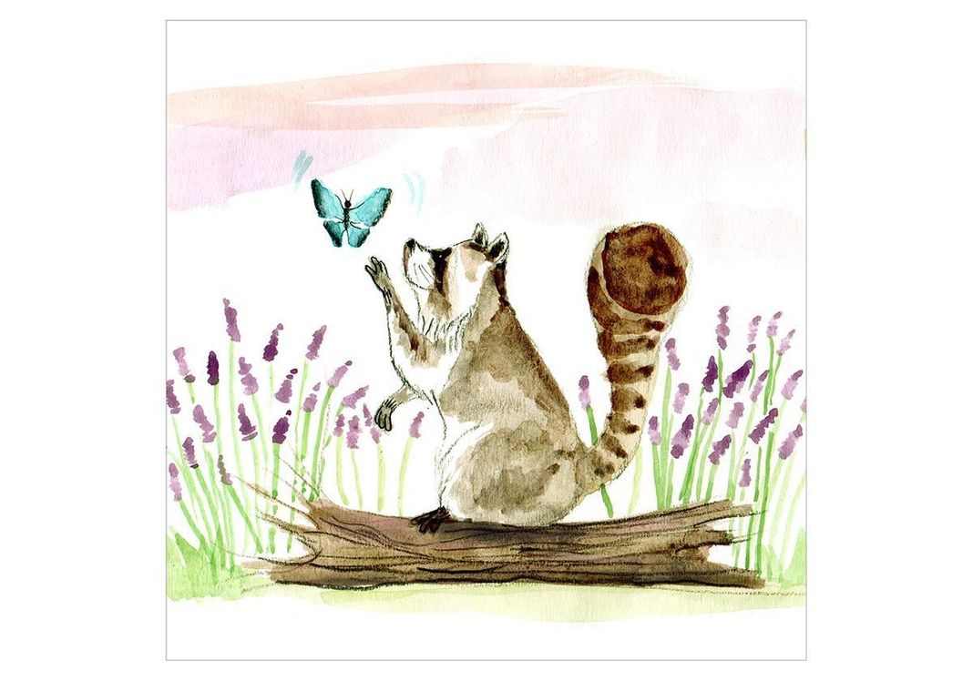 LIBRO INFANTIL RECREALIBROS ENCUENTROS CERCANOS-1