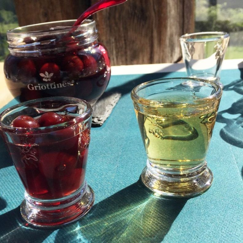 SET 6 VASOS ABEJA 260ML-2