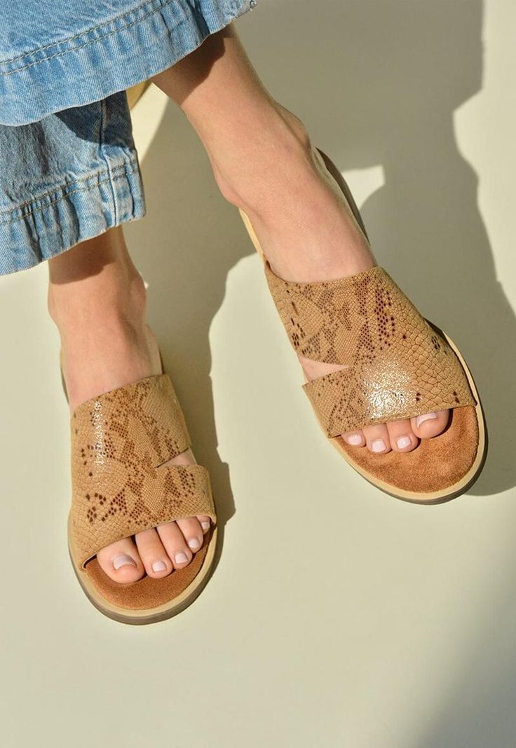 SM / Lile Camel