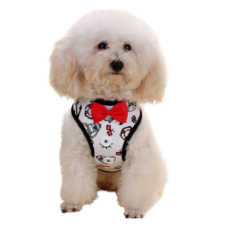 ARNES PERRO ELEGANTE (M)-0
