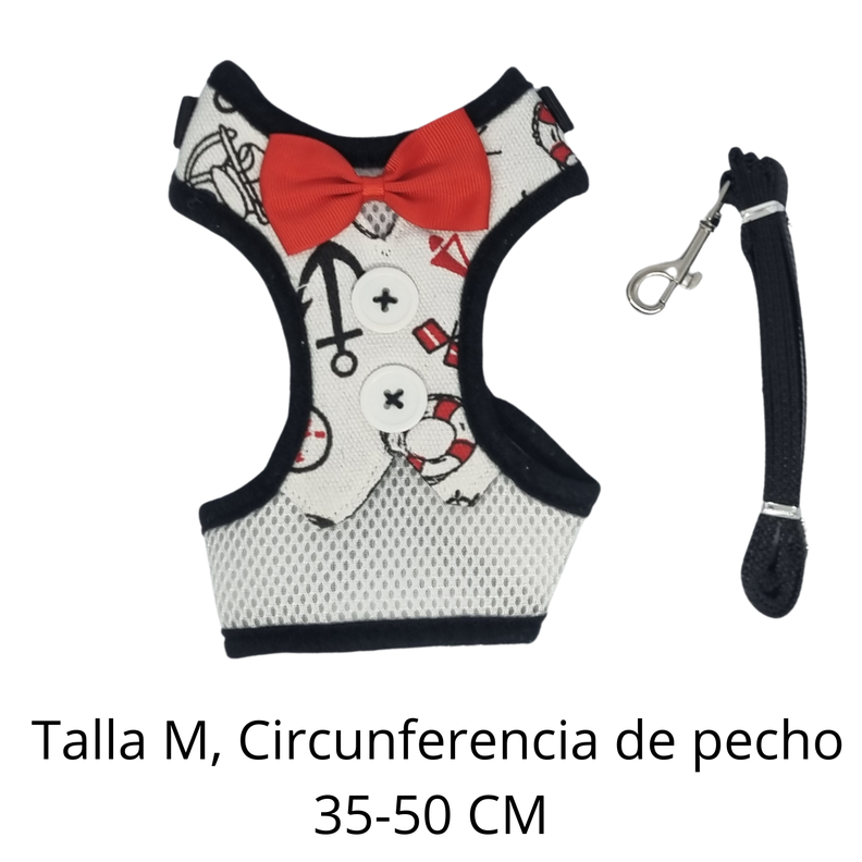 ARNES PERRO ELEGANTE (M)-1