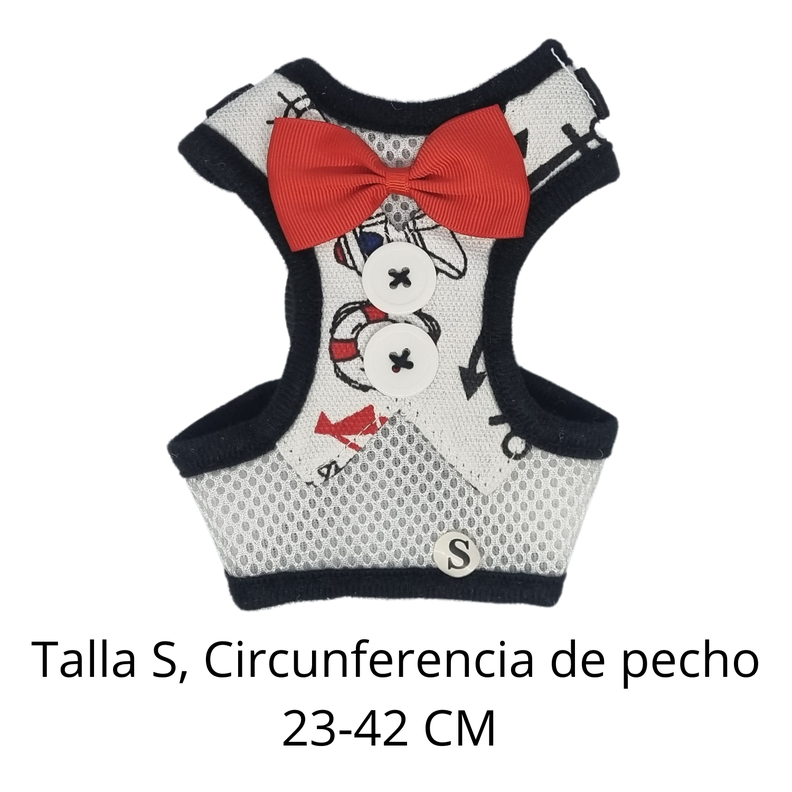 ARNES PERRO ELEGANTE (S)-1