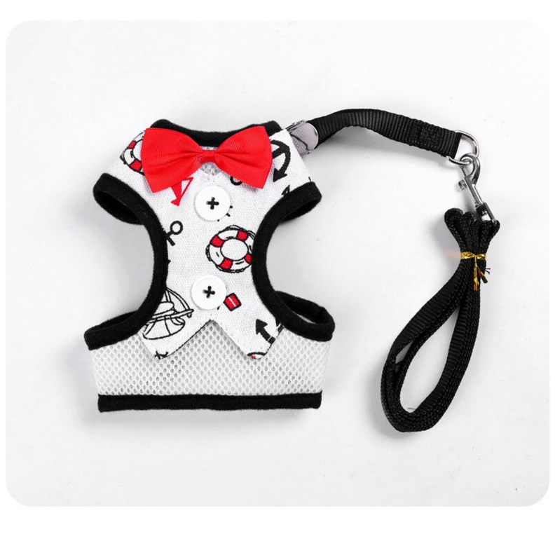 ARNES PERRO ELEGANTE (S)-2