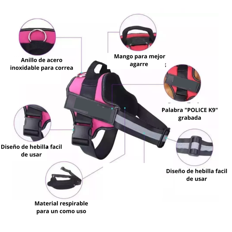 ARNES K9 (L) MORADO-3