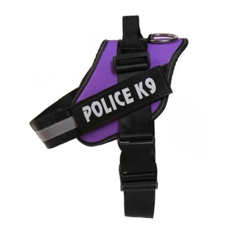 ARNES K9 (L) MORADO-0