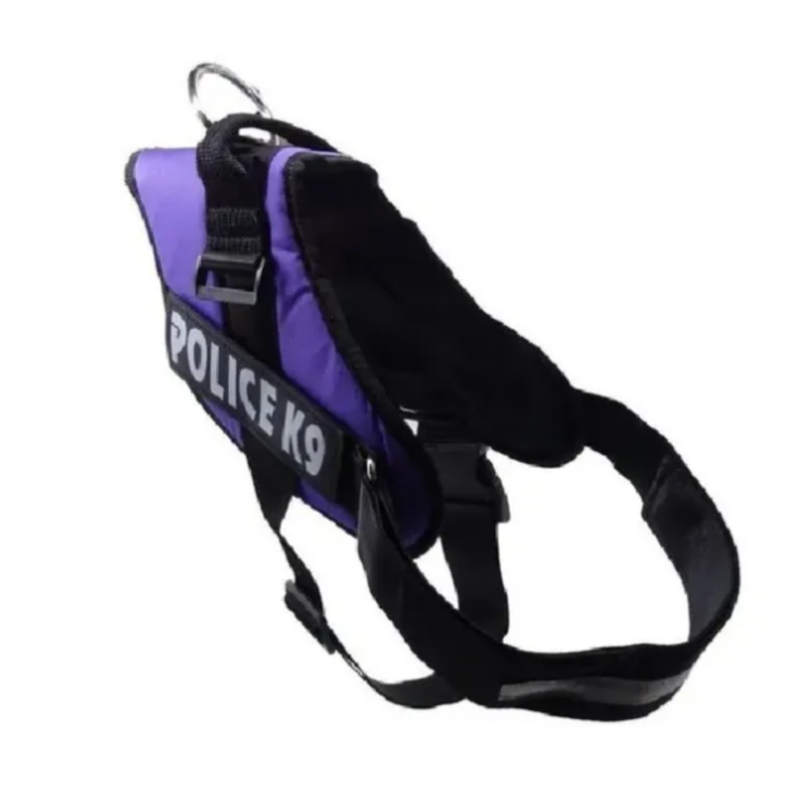ARNES K9 (L) MORADO-1