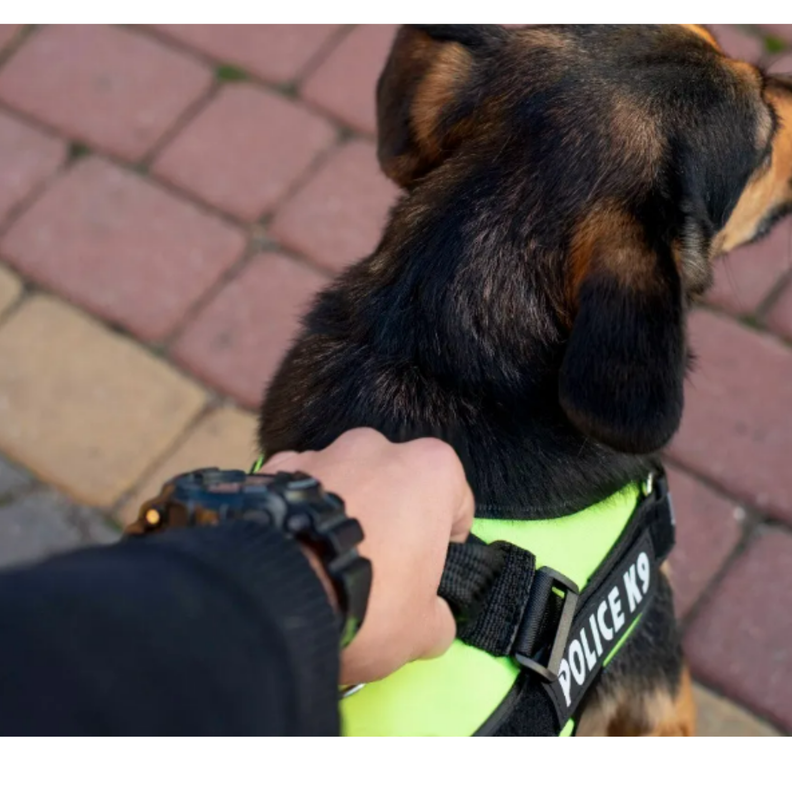 ARNES K9 (S) AZUL-3