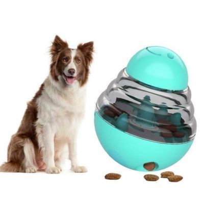 Comedero interactivo para mascotas Calipso-5