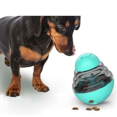 Comedero interactivo para mascotas Calipso-3