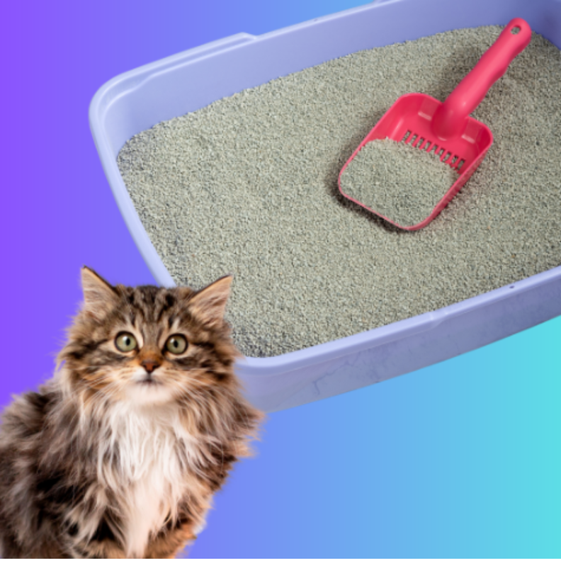 ARENA SANITARIA 10 KG FIT LAVANDA-1