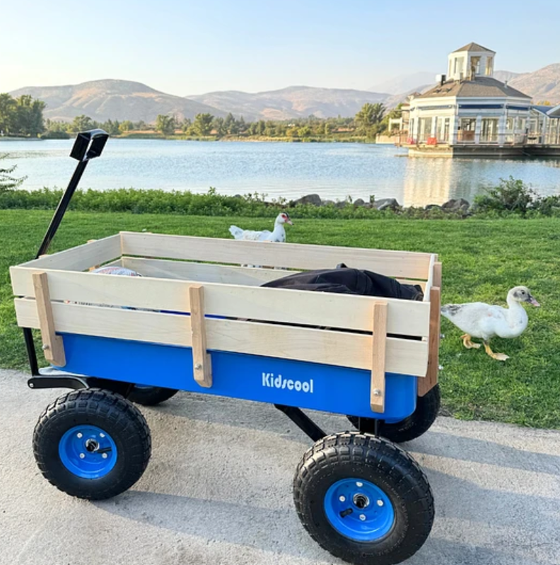 CARRITO DE ARRASTRE WAGON AZUL KIDSCOOL-6