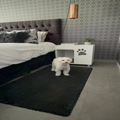 VELADOR BLANCO PARA PERRO CON COJÍN-3