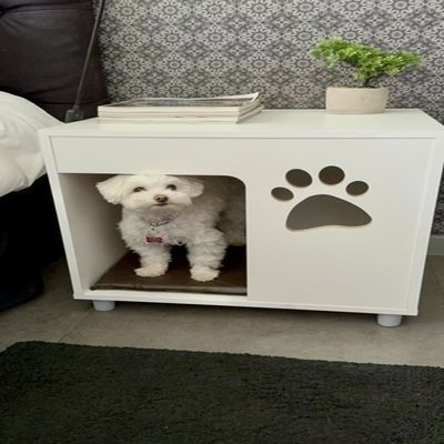 VELADOR BLANCO PARA PERRO CON COJÍN-4