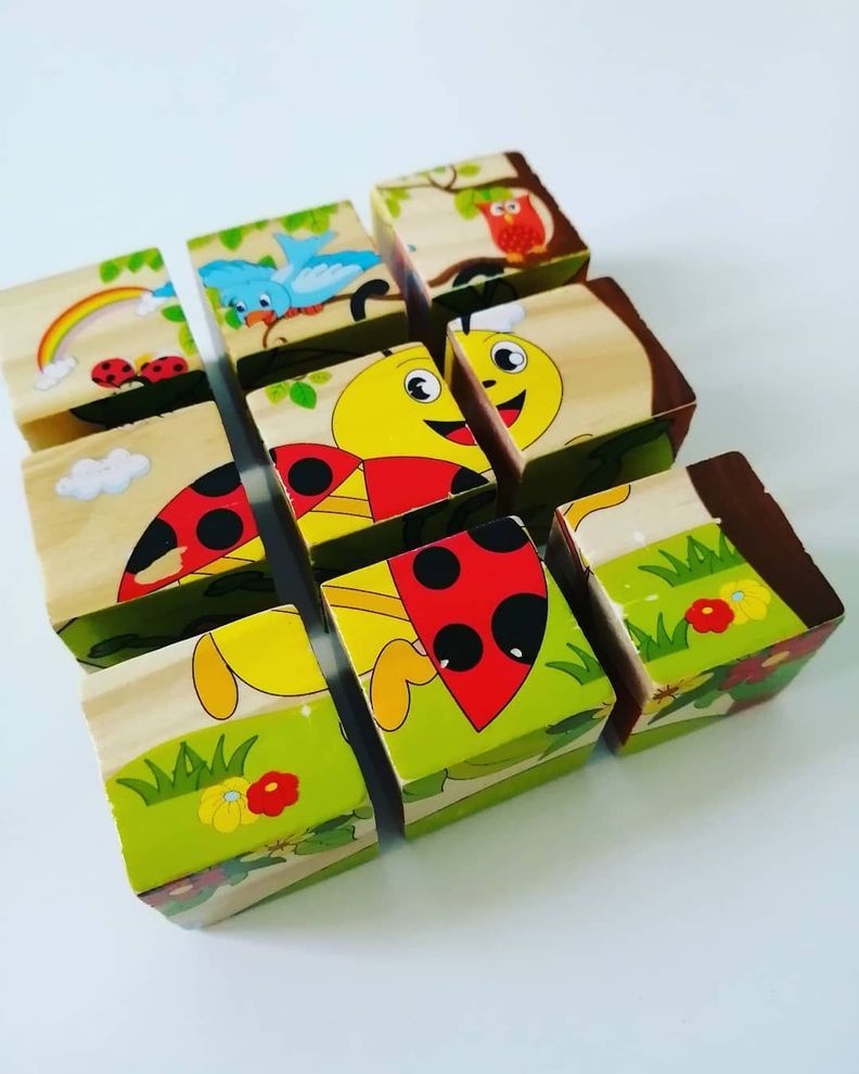 Rompecabezas Cubos Puzzles De Madera 6 En 1-4