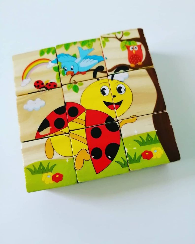 Rompecabezas Cubos Puzzles De Madera 6 En 1-1