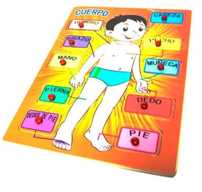 Tabla De Encaje Cuerpo, Juguete Didáctico De Madera-1