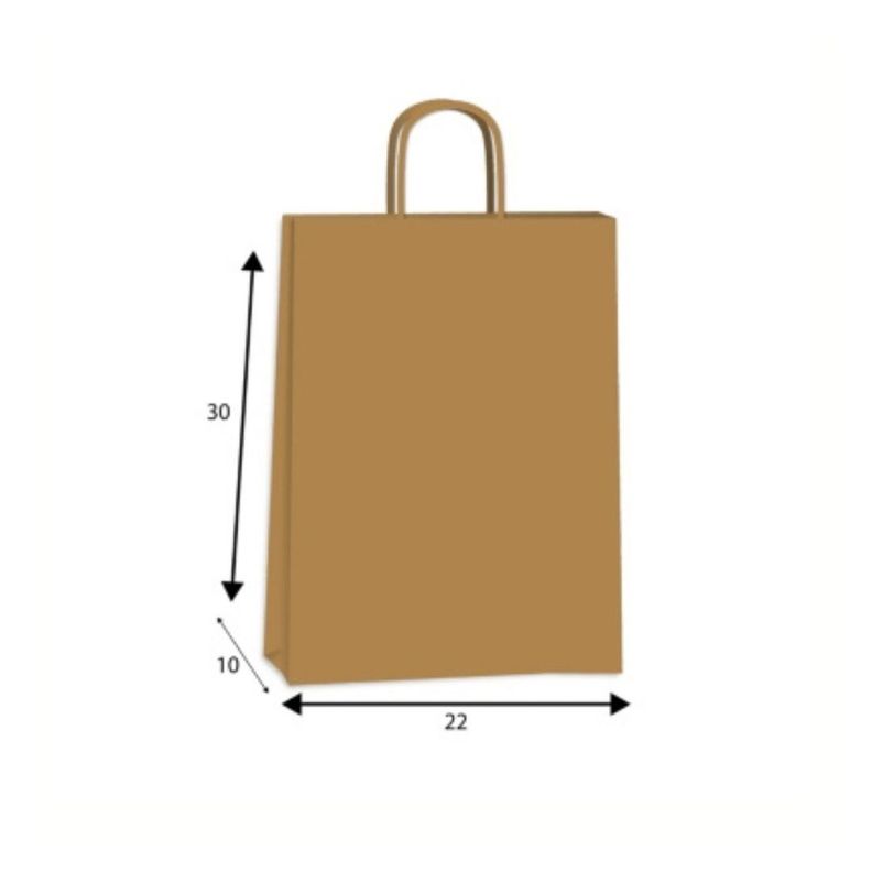 Bolsas De Papel Kraft - 22 X 10 X 30 200Uni-1