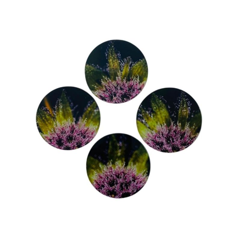 Set 4 Posavasos Vidrio Lavanda-0