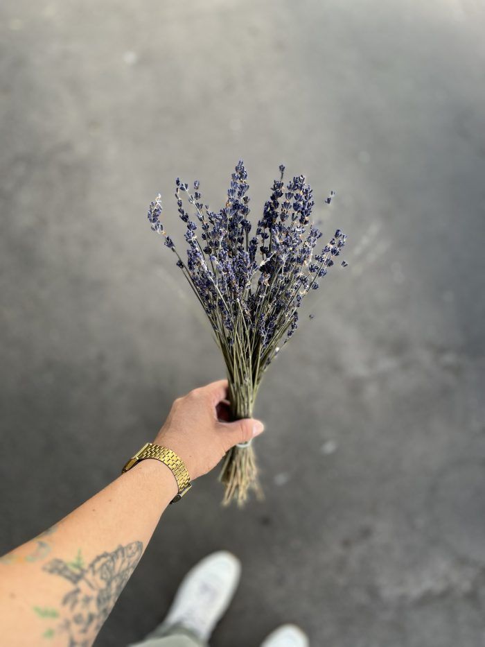 Flores Secas- Lavanda-0