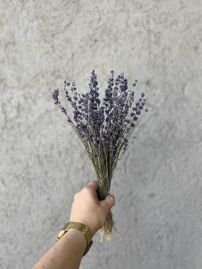 Flores Secas- Lavanda-1