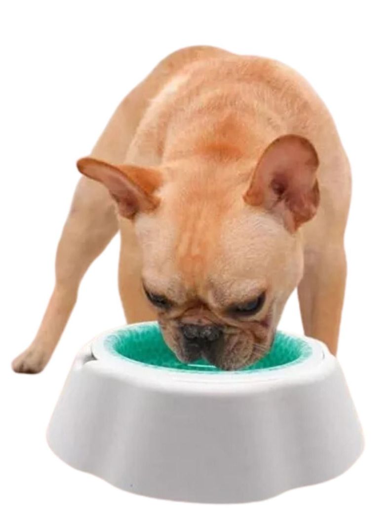Plato Bebedero Comedero Refrescante Mascotas 21 Cm-0