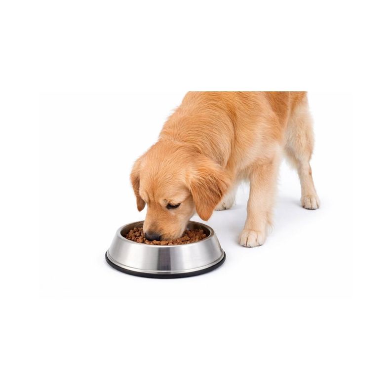 Plato Antihormigas Acero Inoxidable Mascotas L 0.9 L Gris 10