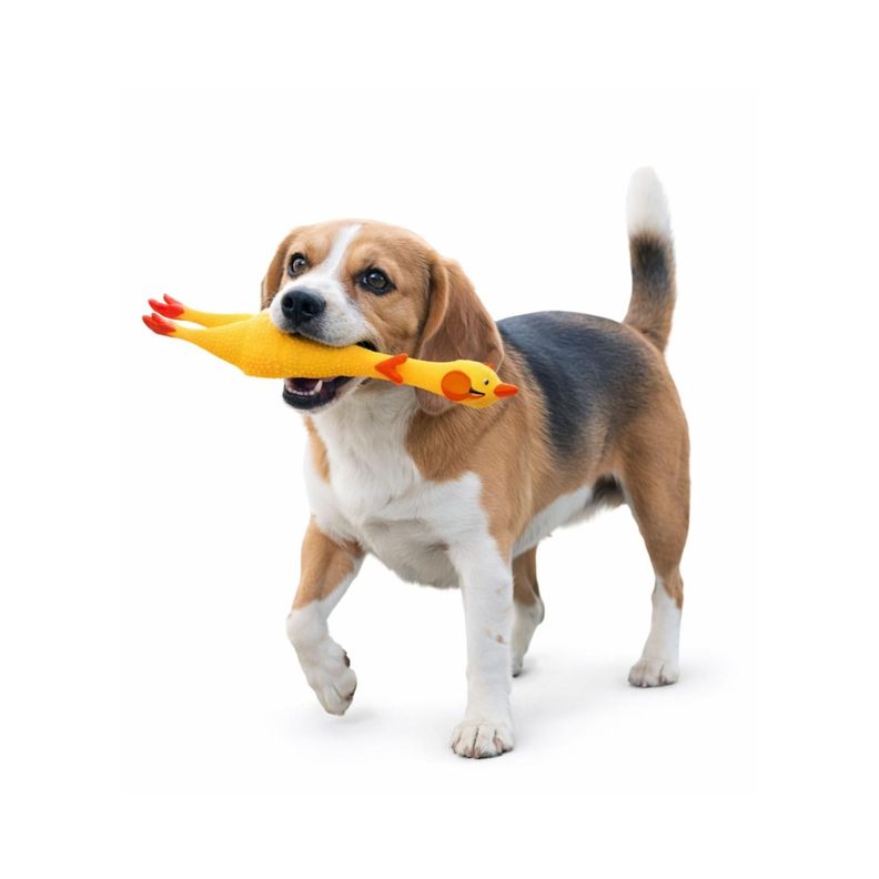 Juguete Perro Pollo Chillón L 41 cm Resistente