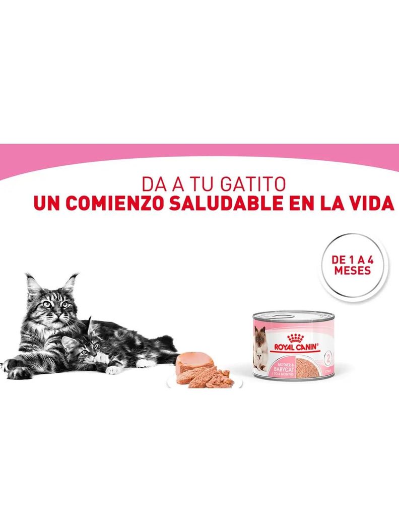 ALIMENTO ROYAL CANIN MOTHER AND BABYCAT Lata 145Gr PACK X6-1