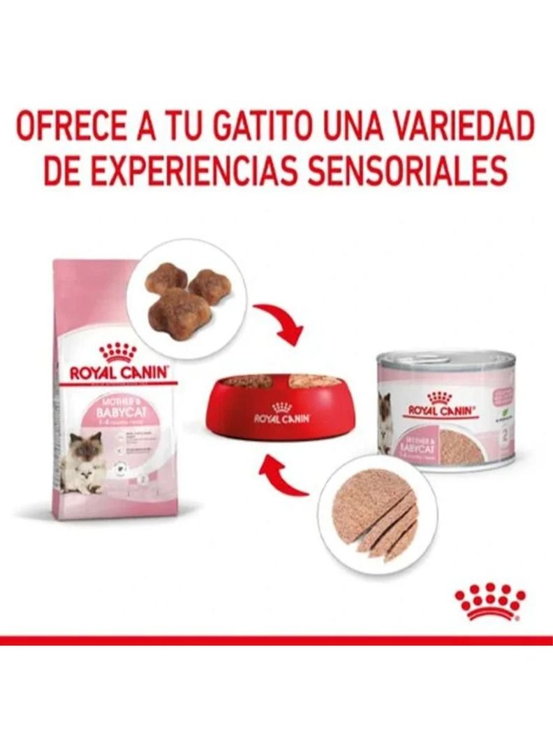 ALIMENTO ROYAL CANIN MOTHER AND BABYCAT Lata 145Gr PACK X6-2