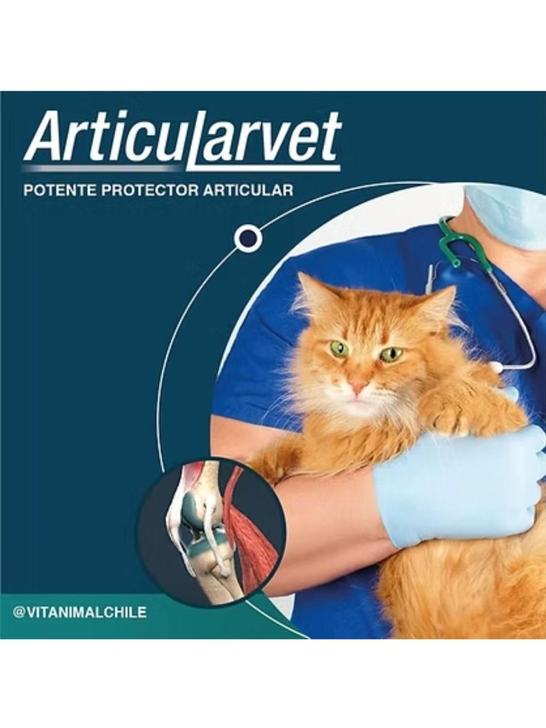 Articularvet - 30 Comprimidos-3