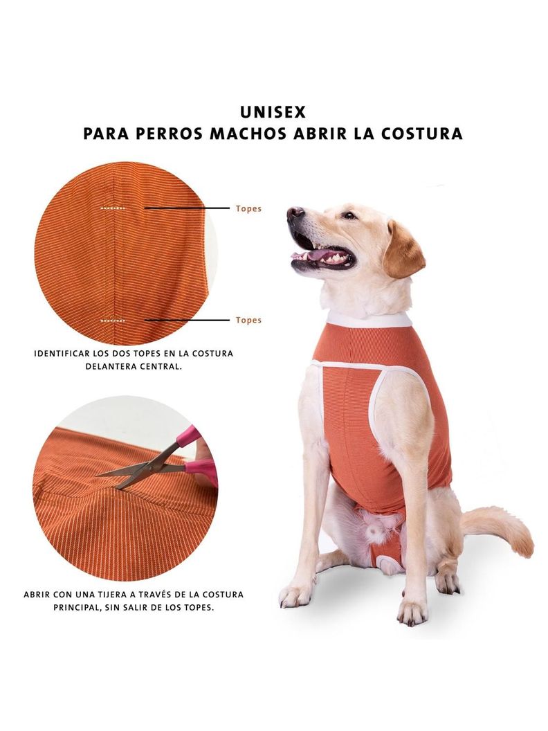 BODY COBRE KIMBA TRADICIONAL TALLA 11 (30 A 35 KG)-2