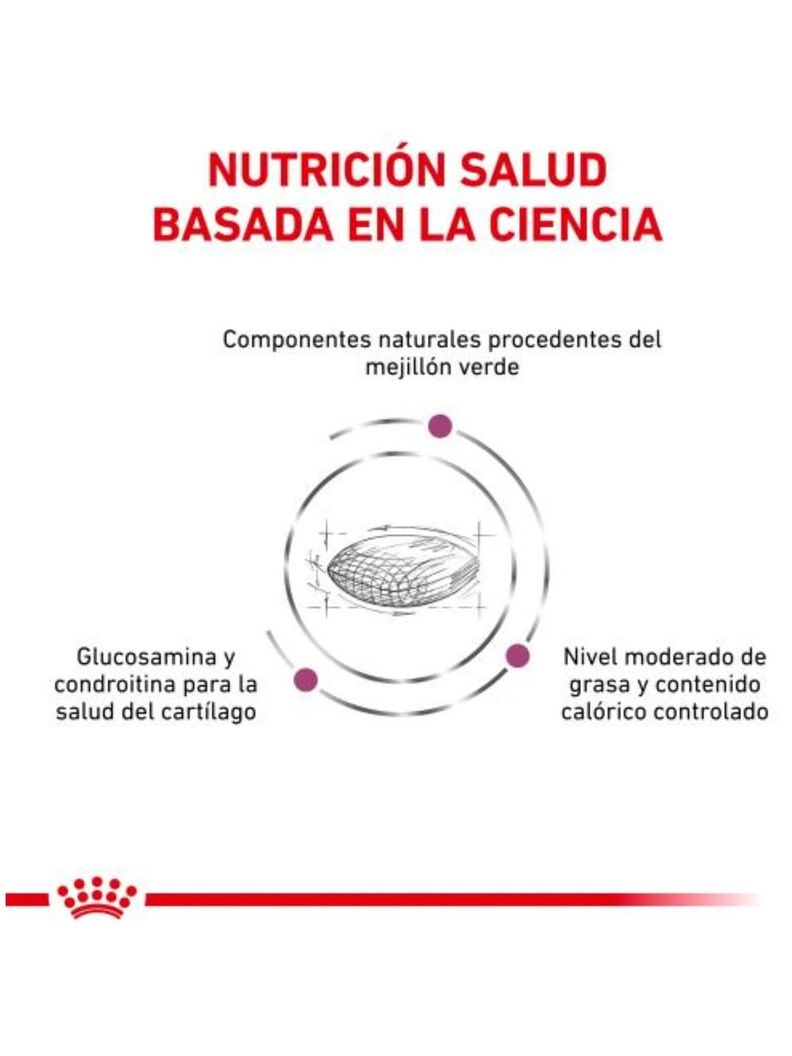 ALIMENTO ROYAL CANIN MOBILITY SUPPORT CANINE 2KG-1