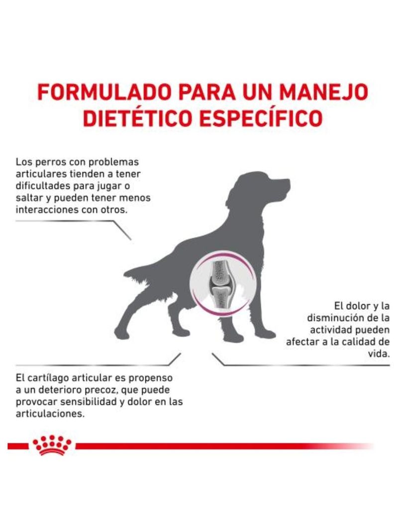 ALIMENTO ROYAL CANIN MOBILITY SUPPORT CANINE 2KG-2