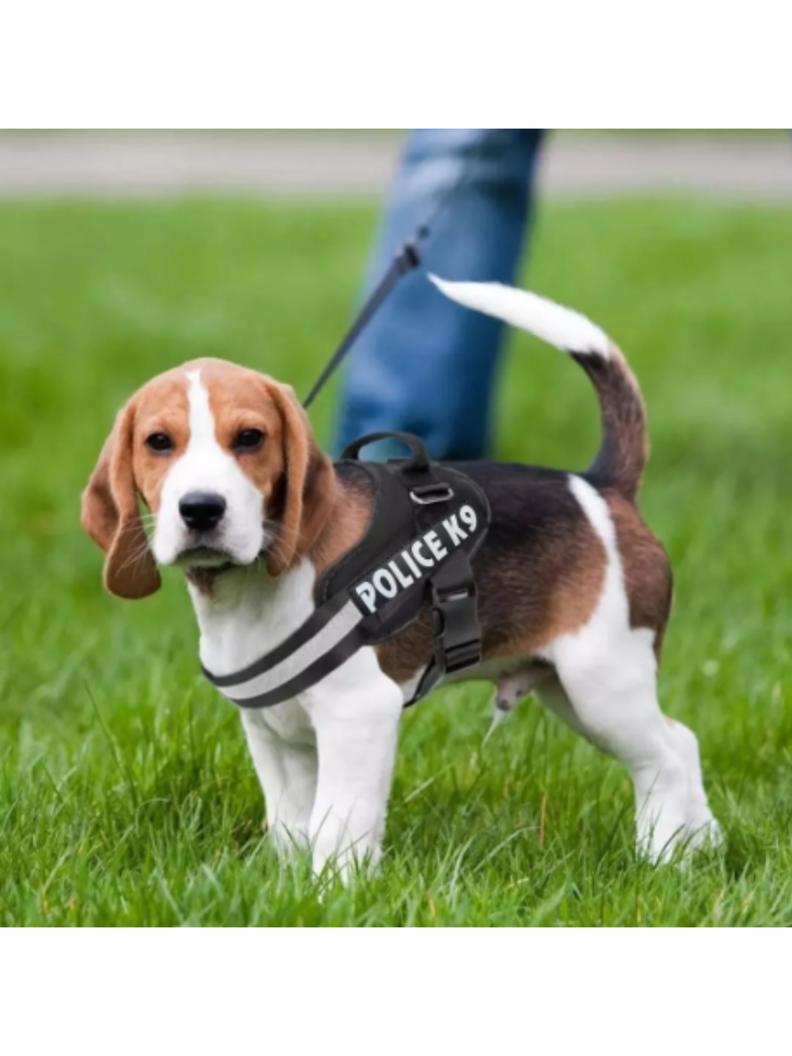 Arnes Pechera para perros reforzada police k9 talla L-5