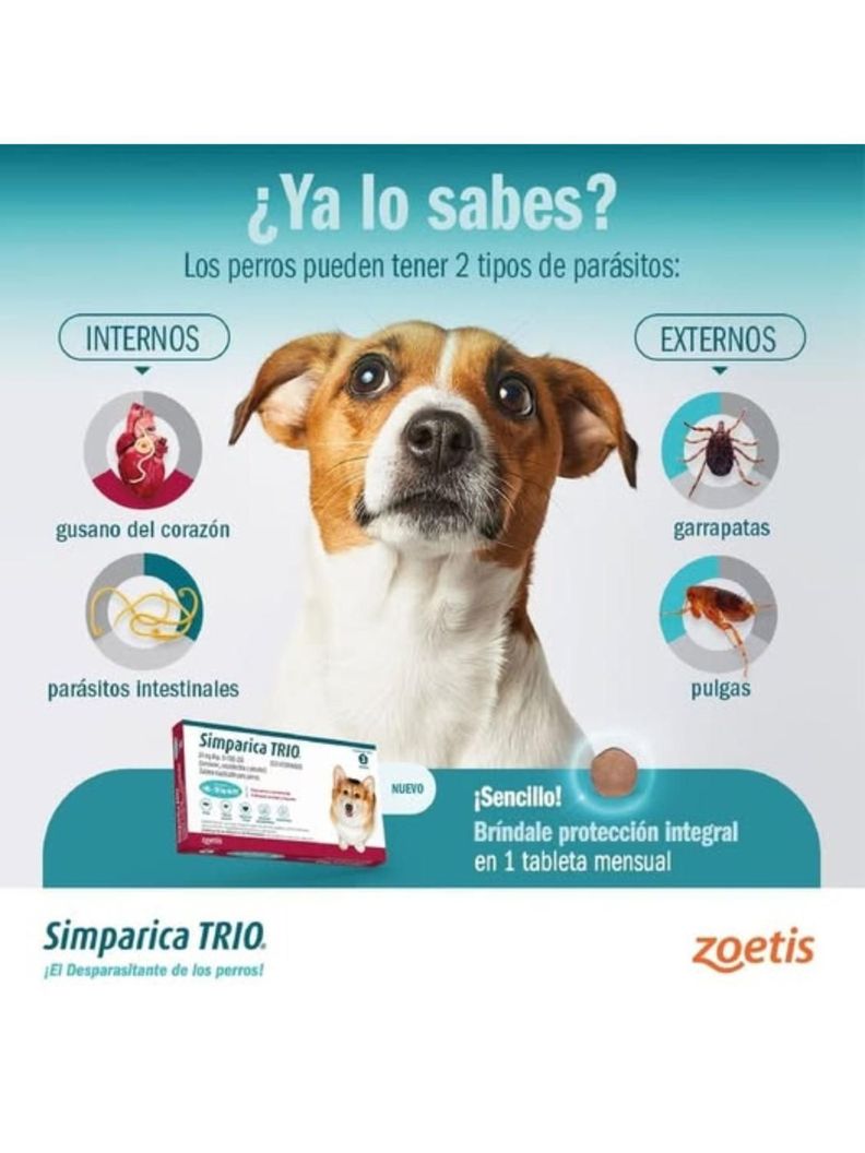 ANTIPARASITARIO SIMPARICA TRIO 1 COMP - 40 A 60 KG-2