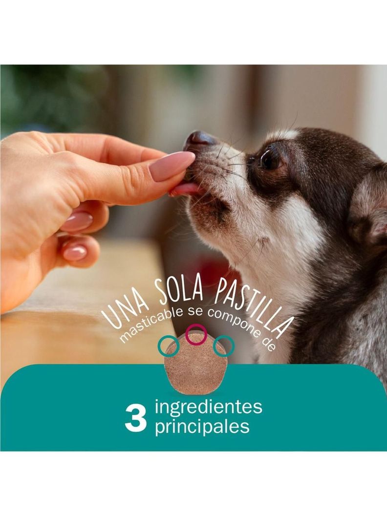 ANTIPARASITARIO SIMPARICA TRIO 1 COMP - 40 A 60 KG-3