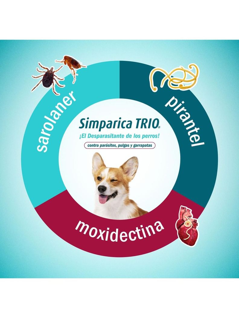 ANTIPARASITARIO SIMPARICA TRIO 1 COMP - 40 A 60 KG-4